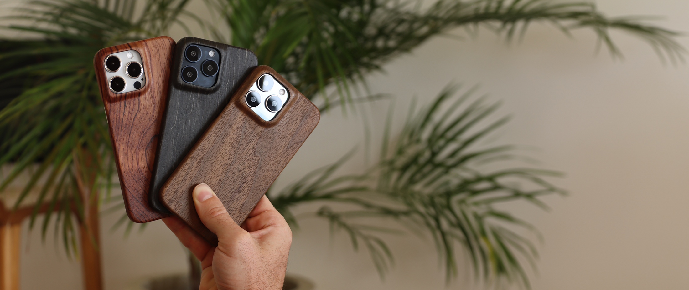 Komodoty man holding Komodo Slim Wood iPhone cases, Rosewood iPhone case, Charcoal iPhone case, Walnut iPhone case. Background with tropical plant and bokeh background. Desktop Banner 3200 x 1350